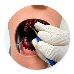 Dentalhygiene Patricia Ried | Kurs 3