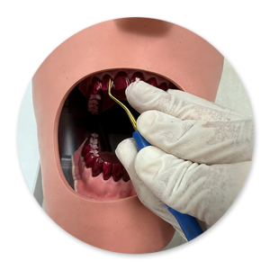 Dentalhygiene Patricia Ried | Kurs 3