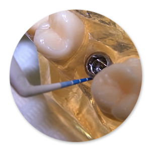 Dentalhygiene Patricia Ried | Kurs 8