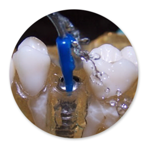 Dentalhygiene Patricia Ried | Kurs 8